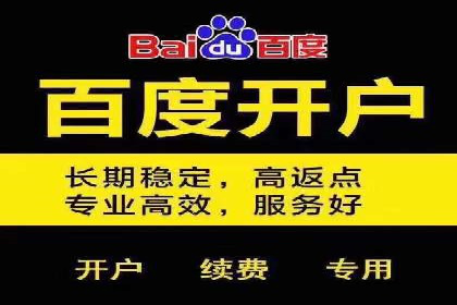 百度竞价SEM案例研究：提升转化率的关键策略